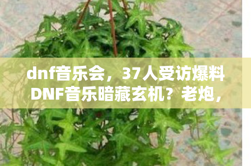 dnf音乐会,37人受访爆料DNF音乐暗藏玄机?老炮,这波操作我直接绷不住! dnf音乐会,37人受访爆料DNF音乐暗藏玄机?老炮,这波操作我直接绷不住!