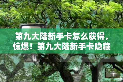 第九大陆新手卡怎么获得,惊爆!第九大陆新手卡隐藏福利大揭秘,错过再等N年? 第九大陆新手卡怎么获得,惊爆!第九大陆新手卡隐藏福利大揭秘,错过再等N年?
