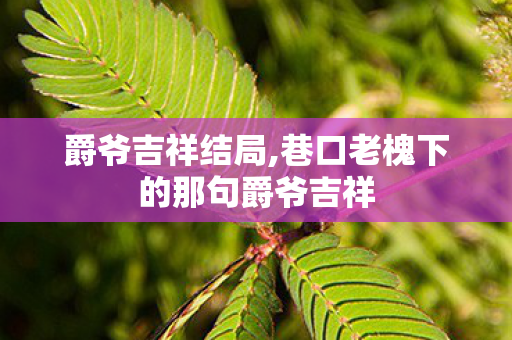 爵爷吉祥结局,巷口老槐下的那句爵爷吉祥 爵爷吉祥结局,巷口老槐下的那句爵爷吉祥
