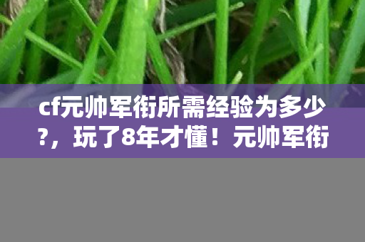 cf元帅军衔所需经验为多少?,玩了8年才懂!元帅军衔经验竟要这个数?选肝还是选氪成终极难题! cf元帅军衔所需经验为多少?,玩了8年才懂!元帅军衔经验竟要这个数?选肝还是选氪成终极难题!
