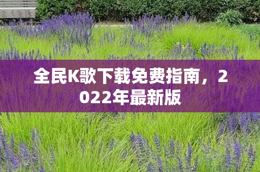 全民K歌下载免费指南图片
