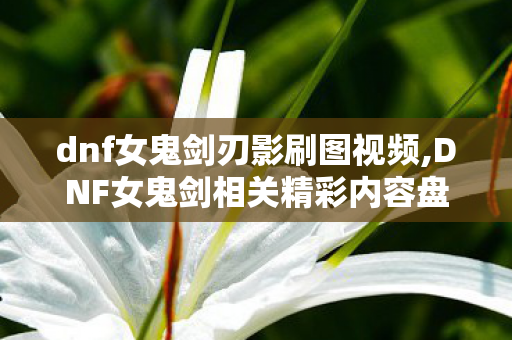dnf女鬼剑刃影刷图视频,DNF女鬼剑相关精彩内容盘点,从操作秀到创意二创的专属魅力 dnf女鬼剑刃影刷图视频,DNF女鬼剑相关精彩内容盘点,从操作秀到创意二创的专属魅力