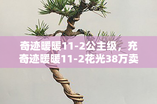 奇迹暖暖11-2公主级,充奇迹暖暖11-2花光38万卖房钱!离婚协议背后藏着多少疯狂? 奇迹暖暖11-2公主级,充奇迹暖暖11-2花光38万卖房钱!离婚协议背后藏着多少疯狂?
