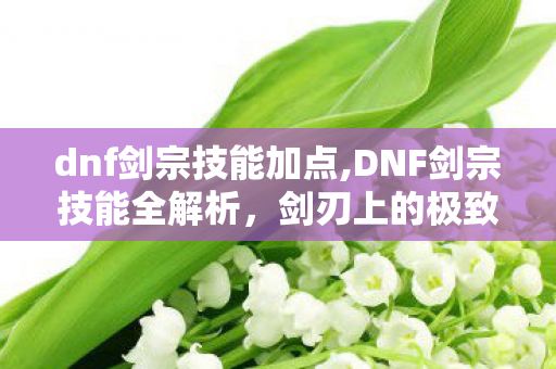 dnf剑宗技能加点,DNF剑宗技能全解析,剑刃上的极致美学与输出逻辑 dnf剑宗技能加点,DNF剑宗技能全解析,剑刃上的极致美学与输出逻辑