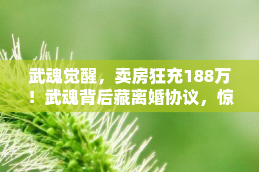 武魂觉醒,卖房狂充188万!武魂背后藏离婚协议,惊爆内幕吓破胆! 武魂觉醒,卖房狂充188万!武魂背后藏离婚协议,惊爆内幕吓破胆!