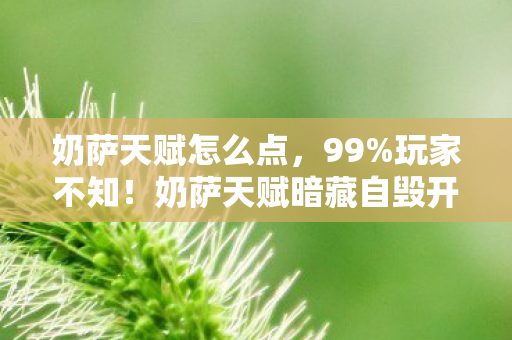 奶萨天赋怎么点，99%玩家不知！奶萨天赋暗藏自毁开关，用对直接封神！