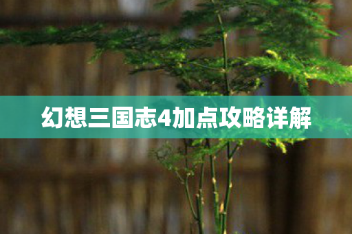 幻想三国志4加点攻略详解图片