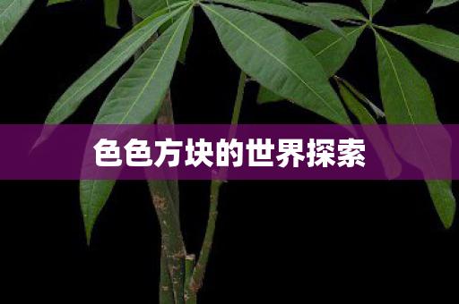 色色方块的世界探索图片