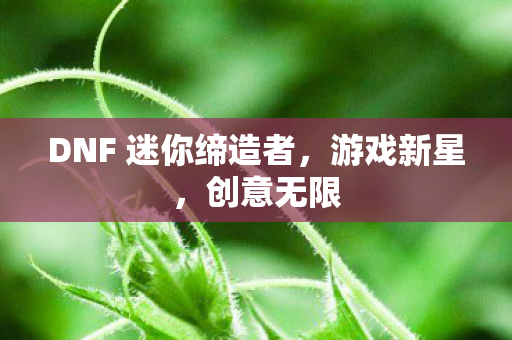 DNF 迷你缔造者图片