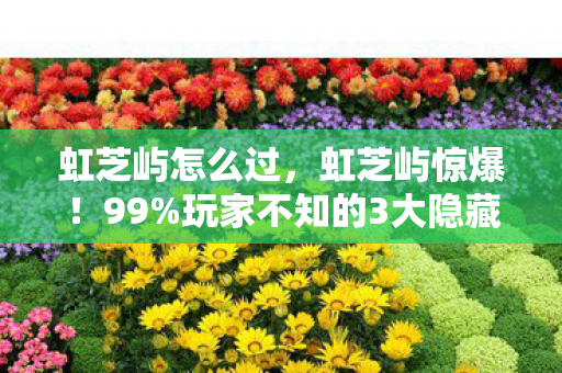 虹芝屿怎么过,虹芝屿惊爆!99%玩家不知的3大隐藏机制,通关后我彻底懵了 虹芝屿怎么过,虹芝屿惊爆!99%玩家不知的3大隐藏机制,通关后我彻底懵了