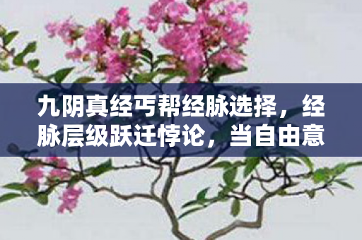九阴真经丐帮经脉选择,经脉层级跃迁悖论,当自由意志撞碎命运枷锁的刹那 九阴真经丐帮经脉选择,经脉层级跃迁悖论,当自由意志撞碎命运枷锁的刹那