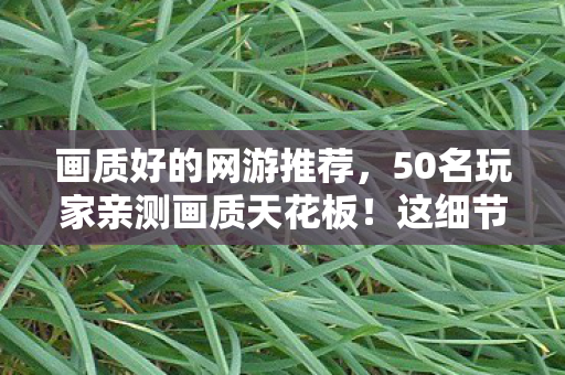 画质好的网游推荐,50名玩家亲测画质天花板!这细节竟让萌新大神集体破防,绷不住了! 画质好的网游推荐,50名玩家亲测画质天花板!这细节竟让萌新大神集体破防,绷不住了!