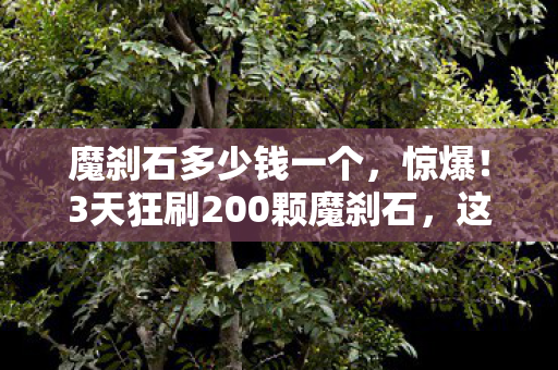 魔刹石多少钱一个,惊爆!3天狂刷200颗魔刹石,这酸爽体验让我彻底破防! 魔刹石多少钱一个,惊爆!3天狂刷200颗魔刹石,这酸爽体验让我彻底破防!
