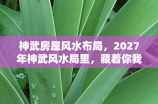 神武房屋风水布局,2027年神武风水局里,藏着你我未解的伏笔,如今想起鼻子一酸 神武房屋风水布局,2027年神武风水局里,藏着你我未解的伏笔,如今想起鼻子一酸
