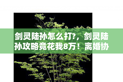 剑灵陆孙怎么打?,剑灵陆孙攻略竟花我8万!离婚协议背后,这数字吓你一跳! 剑灵陆孙怎么打?,剑灵陆孙攻略竟花我8万!离婚协议背后,这数字吓你一跳!