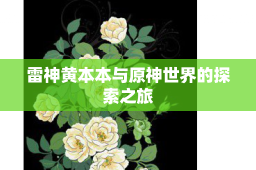 雷神黄本本与原神世界的探索之旅图片