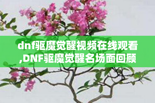 dnf驱魔觉醒视频在线观看,DNF驱魔觉醒名场面回顾,藏在老视频里的龙斗士热血记忆 dnf驱魔觉醒视频在线观看,DNF驱魔觉醒名场面回顾,藏在老视频里的龙斗士热血记忆