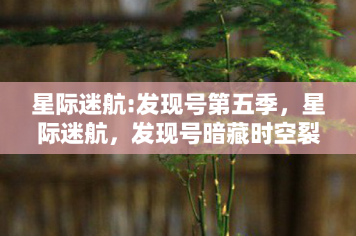 星际迷航:发现号第五季,星际迷航,发现号暗藏时空裂痕,悬案背后毛骨悚然真相待解 星际迷航:发现号第五季,星际迷航,发现号暗藏时空裂痕,悬案背后毛骨悚然真相待解