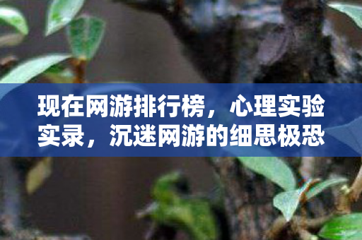 现在网游排行榜,心理实验实录,沉迷网游的细思极恐剂量化人生 现在网游排行榜,心理实验实录,沉迷网游的细思极恐剂量化人生