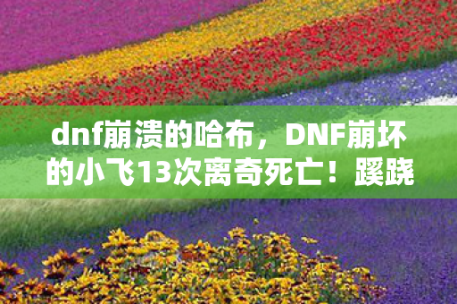dnf崩溃的哈布,DNF崩坏的小飞13次离奇死亡!蹊跷背后真相让人后背发凉 dnf崩溃的哈布,DNF崩坏的小飞13次离奇死亡!蹊跷背后真相让人后背发凉