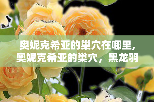 奥妮克希亚的巢穴在哪里,奥妮克希亚的巢穴,黑龙羽翼下的艾泽拉斯青春印记 奥妮克希亚的巢穴在哪里,奥妮克希亚的巢穴,黑龙羽翼下的艾泽拉斯青春印记