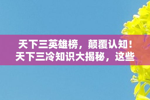 天下三英雄榜,颠覆认知!天下三冷知识大揭秘,这些设计让你目瞪口呆! 天下三英雄榜,颠覆认知!天下三冷知识大揭秘,这些设计让你目瞪口呆!