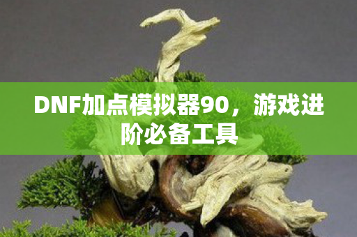 DNF加点模拟器90图片