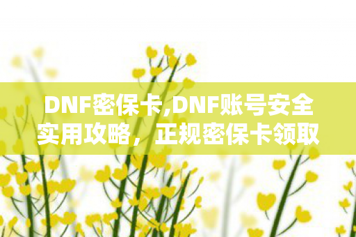 DNF密保卡,DNF账号安全实用攻略,正规密保卡领取与使用全指南 DNF密保卡,DNF账号安全实用攻略,正规密保卡领取与使用全指南