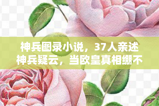 神兵图录小说,37人亲述神兵疑云,当欧皇真相绷不住时,我在网吧哭成了狗 神兵图录小说,37人亲述神兵疑云,当欧皇真相绷不住时,我在网吧哭成了狗