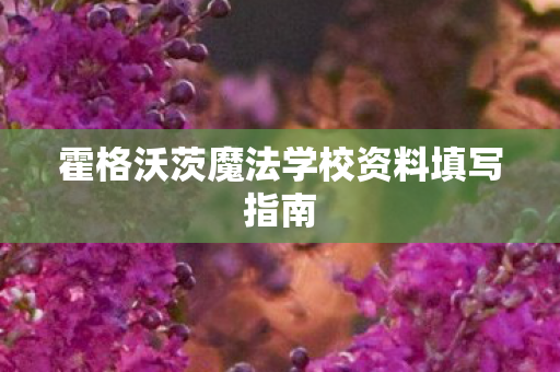 霍格沃茨魔法学校资料填写指南图片