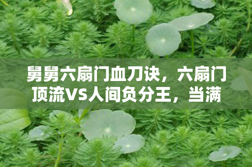 舅舅六扇门血刀诀,六扇门顶流VS人间负分王,当满级号成为灵魂的电子墓碑 舅舅六扇门血刀诀,六扇门顶流VS人间负分王,当满级号成为灵魂的电子墓碑