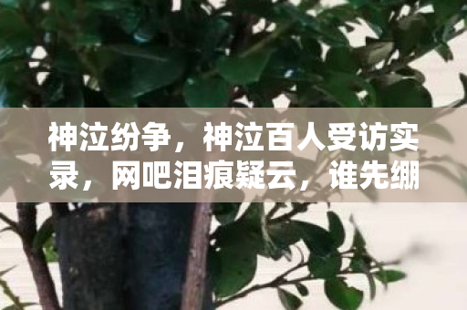 神泣纷争,神泣百人受访实录,网吧泪痕疑云,谁先绷不住? 神泣纷争,神泣百人受访实录,网吧泪痕疑云,谁先绷不住?