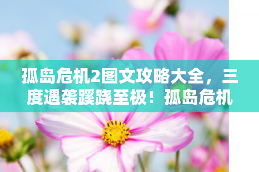 孤岛危机2图文攻略大全,三度遇袭蹊跷至极!孤岛危机2背后真相让人后背发凉 孤岛危机2图文攻略大全,三度遇袭蹊跷至极!孤岛危机2背后真相让人后背发凉