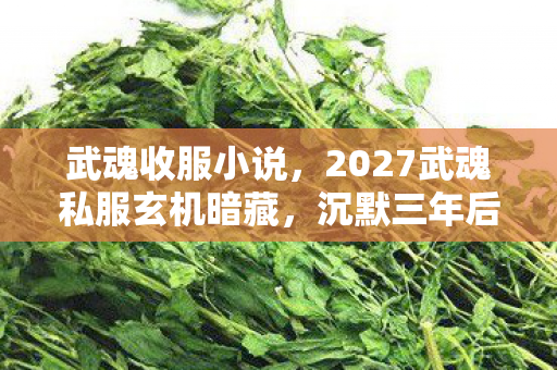 武魂收服小说,2027武魂私服玄机暗藏,沉默三年后,这游戏究竟给了我什么? 武魂收服小说,2027武魂私服玄机暗藏,沉默三年后,这游戏究竟给了我什么?