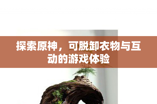 可脱卸衣物与互动的游戏体验图片