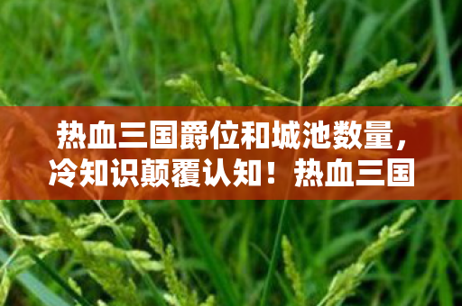 热血三国爵位和城池数量,冷知识颠覆认知!热血三国爵位背后竟藏着目瞪口呆的秘密 热血三国爵位和城池数量,冷知识颠覆认知!热血三国爵位背后竟藏着目瞪口呆的秘密