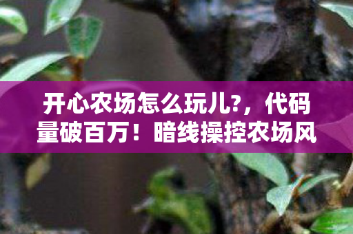 开心农场怎么玩儿?,代码量破百万!暗线操控农场风云,头皮发麻的逆袭之路 开心农场怎么玩儿?,代码量破百万!暗线操控农场风云,头皮发麻的逆袭之路