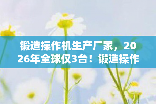 锻造操作机生产厂家,2026年全球仅3台!锻造操作机黑科技将颠覆传统工业? 锻造操作机生产厂家,2026年全球仅3台!锻造操作机黑科技将颠覆传统工业?