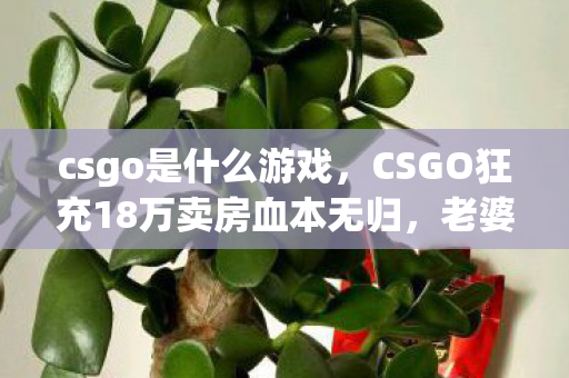 csgo是什么游戏,CSGO狂充18万卖房血本无归,老婆怒签离婚协议吓我一跳! csgo是什么游戏,CSGO狂充18万卖房血本无归,老婆怒签离婚协议吓我一跳!
