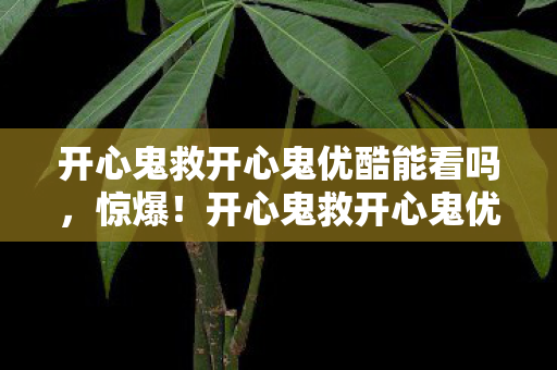 开心鬼救开心鬼优酷能看吗,惊爆!开心鬼救开心鬼优酷项目砸3000万,隐情曝光让人吓一跳! 开心鬼救开心鬼优酷能看吗,惊爆!开心鬼救开心鬼优酷项目砸3000万,隐情曝光让人吓一跳!