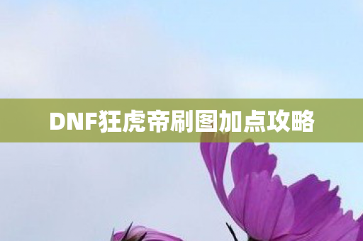 DNF狂虎帝刷图加点攻略图片