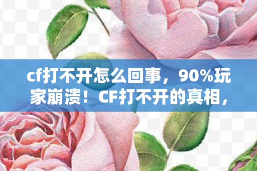 cf打不开怎么回事,90%玩家崩溃!CF打不开的真相,端游卡成PPT,手游秒进却像PPT? cf打不开怎么回事,90%玩家崩溃!CF打不开的真相,端游卡成PPT,手游秒进却像PPT?