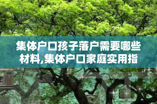 集体户口孩子落户需要哪些材料,集体户口家庭实用指南,孩子落户办理要点全梳理 集体户口孩子落户需要哪些材料,集体户口家庭实用指南,孩子落户办理要点全梳理