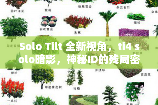 Solo Tilt 全新视角,ti4 solo暗影,神秘ID的残局密码,谁在操控这场毛骨悚然的死亡循环? Solo Tilt 全新视角,ti4 solo暗影,神秘ID的残局密码,谁在操控这场毛骨悚然的死亡循环?