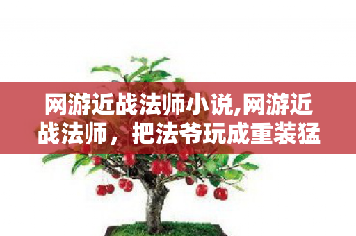 网游近战法师小说,网游近战法师,把法爷玩成重装猛男的奇妙体验 网游近战法师小说,网游近战法师,把法爷玩成重装猛男的奇妙体验