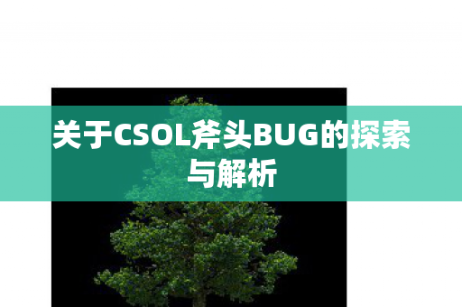 关于CSOL斧头BUG的探索与解析图片