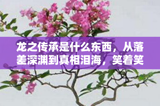 龙之传承是什么东西,从落差深渊到真相泪海,笑着笑着,我竟又为龙之传承哭了 龙之传承是什么东西,从落差深渊到真相泪海,笑着笑着,我竟又为龙之传承哭了