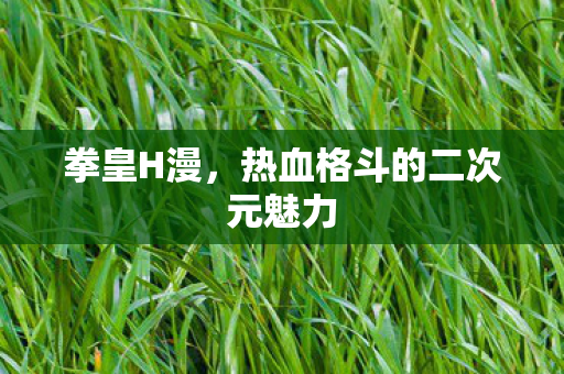 热血格斗的二次元魅力图片