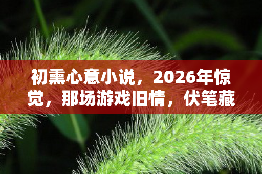 初熏心意小说，2026年惊觉，那场游戏旧情，伏笔藏三年，鼻子一酸泪满衫