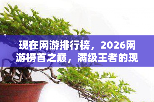 现在网游排行榜,2026网游榜首之巅,满级王者的现实深渊,灵魂何处安放? 现在网游排行榜,2026网游榜首之巅,满级王者的现实深渊,灵魂何处安放?